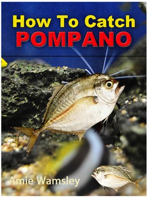 cover image of How To Catch Pompano